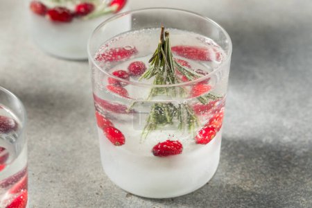 Téléchargez les photos : Froid rafraîchissant Cocktail de Noël Snowglobe avec Gin de romarin et tonique - en image libre de droit