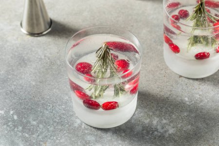 Photo for Cold Refreshing Christmas Snowglobe Cocktail with Rosemary Gin and Tonic - Royalty Free Image