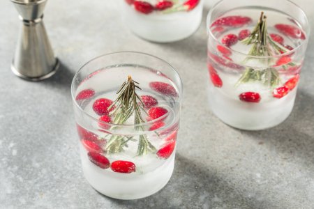 Foto de Cóctel de bola de nieve de Navidad refrescante fría con ginebra de romero y tónico - Imagen libre de derechos