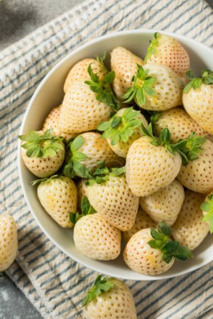 Photo for Organic Raw White Pineberry Strawberry in a Bowl - Royalty Free Image