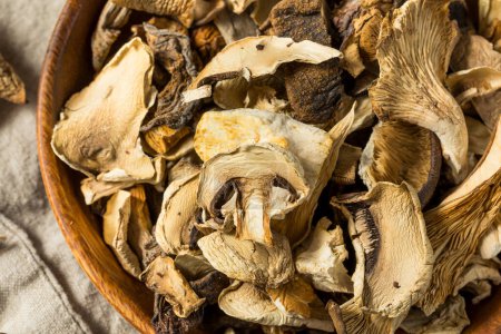 Photo for Organic Raw Dried Mushrooms in a Bowl - Royalty Free Image