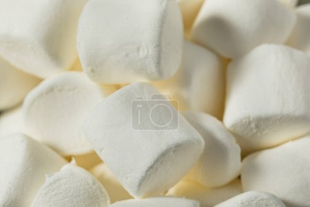 Photo for Organic Dry Big White Marshmallows in a Bowl - Royalty Free Image