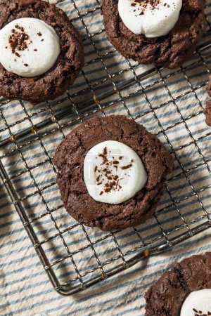 Téléchargez les photos : Biscuits au cacao chaud au chocolat noir faits maison avec guimauves - en image libre de droit