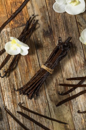 Photo for Organic Raw Madagascar Vanilla Beans in a Bunch - Royalty Free Image