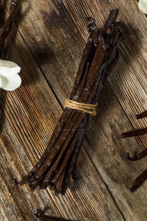 Téléchargez les photos : Haricots vanille crus de Madagascar bio en grappe - en image libre de droit