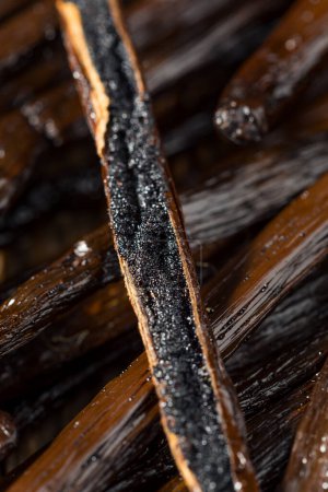 Téléchargez les photos : Haricots vanille crus de Madagascar bio en grappe - en image libre de droit