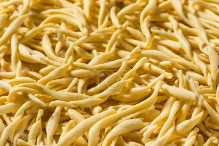 Photo for Dry Organic Paesani Cavatelli Pasta Ready to Cook - Royalty Free Image