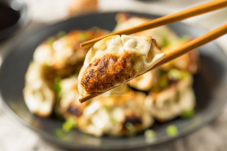 Photo for Asian Dumpling Pot Stickers Gyoza with Soy Sauce - Royalty Free Image