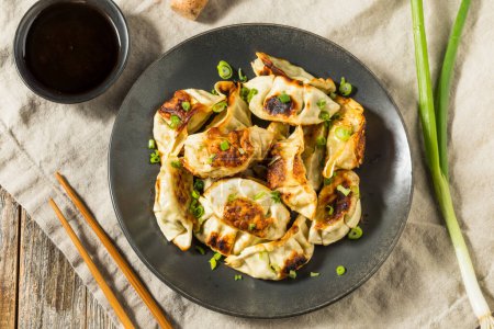 Photo for Asian Dumpling Pot Stickers Gyoza with Soy Sauce - Royalty Free Image