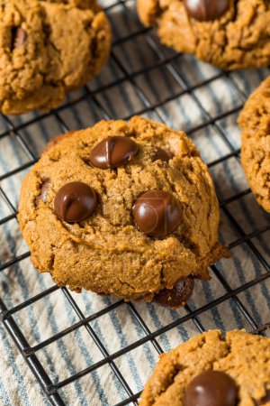 Téléchargez les photos : Biscuits aux pépites de chocolat à cinq ingrédients à la mode avec beurre d'arachide - en image libre de droit