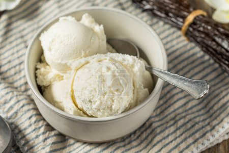 Téléchargez les photos : Gelato à la crème glacée aux haricots vanille maison dans un bol - en image libre de droit