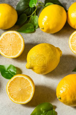 Foto de Limones sin semillas amarillos crudos orgánicos en un racimo - Imagen libre de derechos