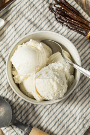 Téléchargez les photos : Gelato à la crème glacée aux haricots vanille maison dans un bol - en image libre de droit