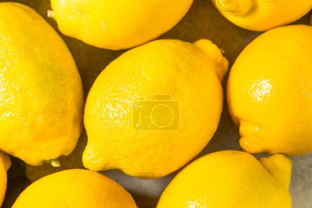 Téléchargez les photos : Citrons jaunes crus sans pépins biologiques en grappe - en image libre de droit