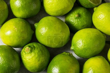 Photo for Organic Raw Green Limes in a Bunch - Royalty Free Image