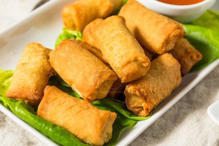 Photo for Chinese Deep Fried Vegetable Egg Rolls with Dipping Sauce - Royalty Free Image