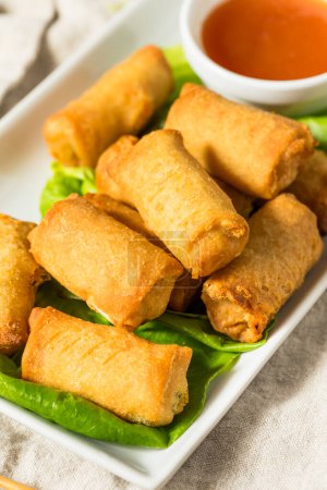 Photo for Chinese Deep Fried Vegetable Egg Rolls with Dipping Sauce - Royalty Free Image