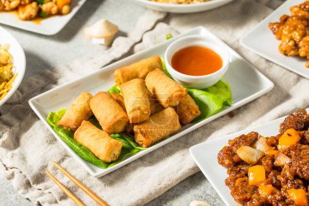 Téléchargez les photos : Rouleaux d'oeufs de légumes frits chinois avec sauce à tremper - en image libre de droit