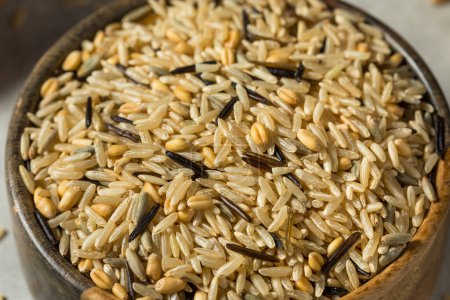 Photo for Dry Raw Organic Wild Rice in a Bowl - Royalty Free Image