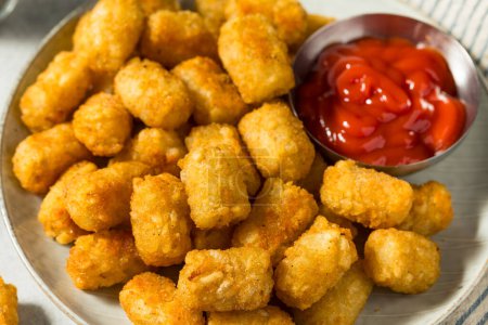 Photo for Homemade Baked Fried Tater Tot Potatoes with Ketchup - Royalty Free Image