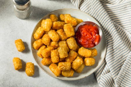 Homemade Baked Fried Tater Tot Potatoes with Ketchup
