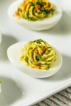 Photo for Homemade Green Avocado Deviled Eggs with Paprika and Cilantro - Royalty Free Image