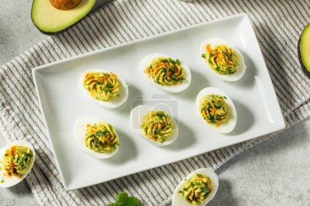 Photo for Homemade Green Avocado Deviled Eggs with Paprika and Cilantro - Royalty Free Image