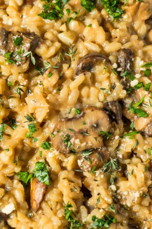 Photo for Healthy Italian Mushroom Risotto with Thyme and Parsley - Royalty Free Image