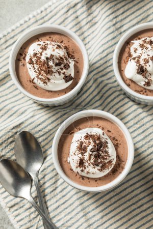 Téléchargez les photos : Pudding au chocolat de soja tofu végétalien fait maison avec crème fouettée - en image libre de droit