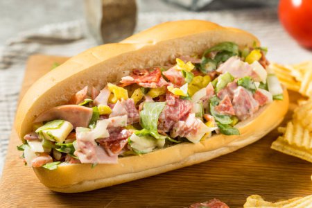 Téléchargez les photos : Sandwich italien haché maison à la mode avec salami et mayo - en image libre de droit