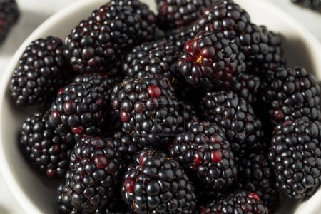 Photo for Organic Healthy Raw Blackberries in a Bowl - Royalty Free Image