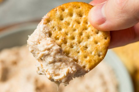 Photo for Homemade Creamy Crab Dip Appetizer with Round Crackers - Royalty Free Image