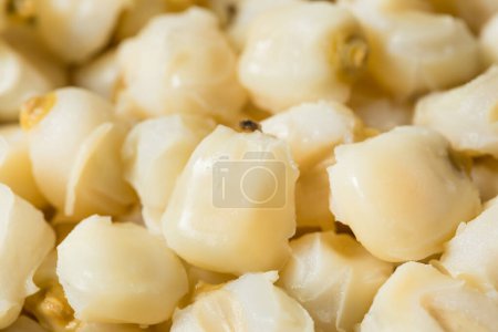 Téléchargez les photos : Cuit cru blanc mexicain Hominy maïs dans un bol - en image libre de droit