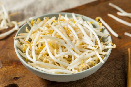 Organic Raw White Mung Bean Sprouts in a Bowl