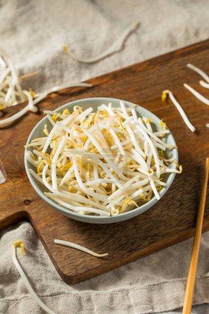 Photo for Organic Raw White Mung Bean Sprouts in a Bowl - Royalty Free Image