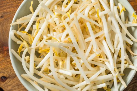 Photo for Organic Raw White Mung Bean Sprouts in a Bowl - Royalty Free Image