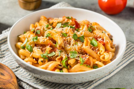 Photo for Homemade Italian Casarecce Pasta with Basil Tomato Sauce - Royalty Free Image