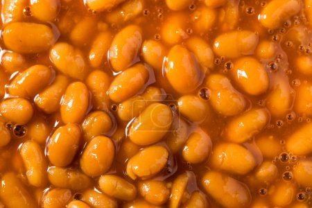 Photo for Homemade Barbecue Baked Beans with Tomato Sauce - Royalty Free Image