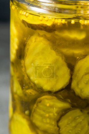 Téléchargez les photos : Pain confit biologique et boucles d'aneth au beurre en tranches - en image libre de droit