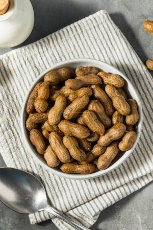 Spicy Southern Cajun Boiled Peanuts for a Snack in a Bowl