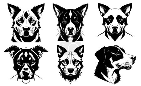 Téléchargez les photos : Ensemble de têtes de chien avec des expressions calmes du museau. Symboles pour tatouage, emblème ou logo, isolés sur un fond blanc. - en image libre de droit