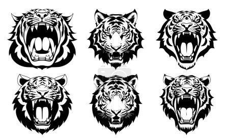 Conjunto de cabezas de tigre con boca abierta y colmillos desnudos, con diferentes expresiones enojadas del hocico. Símbolos para tatuaje, emblema o logotipo, aislados sobre un fondo blanco.