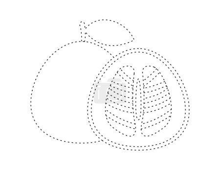 Téléchargez les illustrations : Contour en pointillés de fruits pomelo pour le modèle de livre à colorier, shaddock pour enfants feuille de calcul illustration imprimable - en licence libre de droit