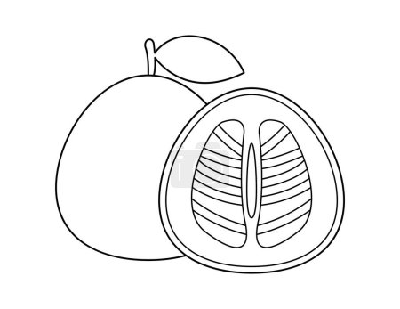 Téléchargez les illustrations : Contour de fruits pomelo pour le modèle de livre à colorier, shaddock pour enfants feuille de calcul illustration imprimable - en licence libre de droit