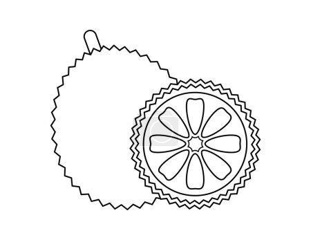 jackfruit outline for coloring book template, jack fruit for kids illustration worksheet printable