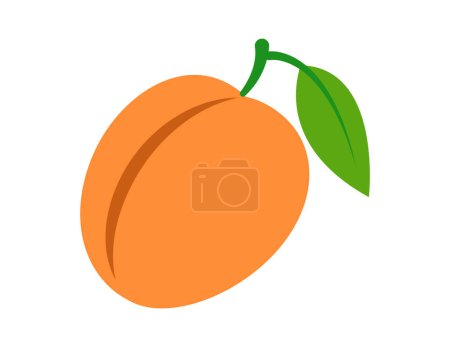Téléchargez les illustrations : Illustration d'abricot pour modèle de livre à colorier, abricot pour feuille de travail pour enfants imprimable - en licence libre de droit