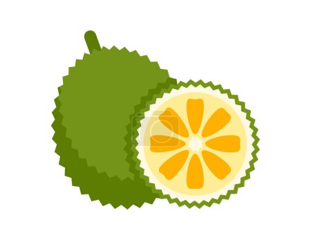 jackfruit illustration for coloring book template, jack fruit for kids worksheet printable