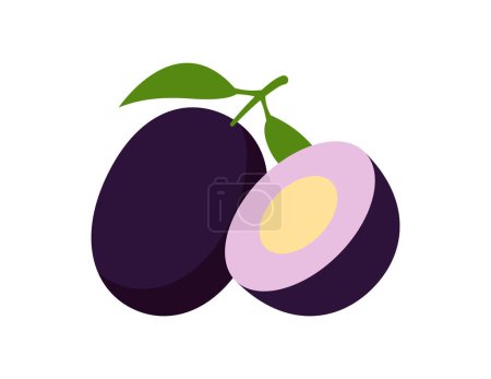 Téléchargez les illustrations : Illustration de fruits jamun pour modèle de livre à colorier, feuille de travail jamun fruit pour enfants imprimable - en licence libre de droit