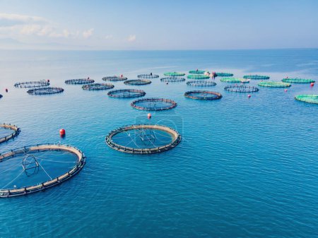 Photo for Aerial view over large fish farm with lots of fish enclosures. Aerial view - Royalty Free Image