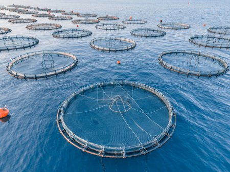 Téléchargez les photos : Images aériennes de cages pisciculture en mer - en image libre de droit